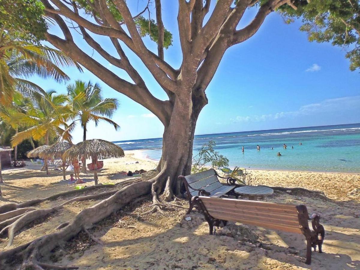 Villa Creole Domaine Prive De L'Anse Des Rochers 생프랑수아 외부 사진